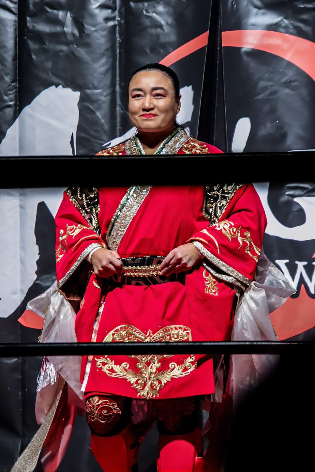 新潟プロレス【X】参戦 | センダイガールズプロレスリング公式サイト