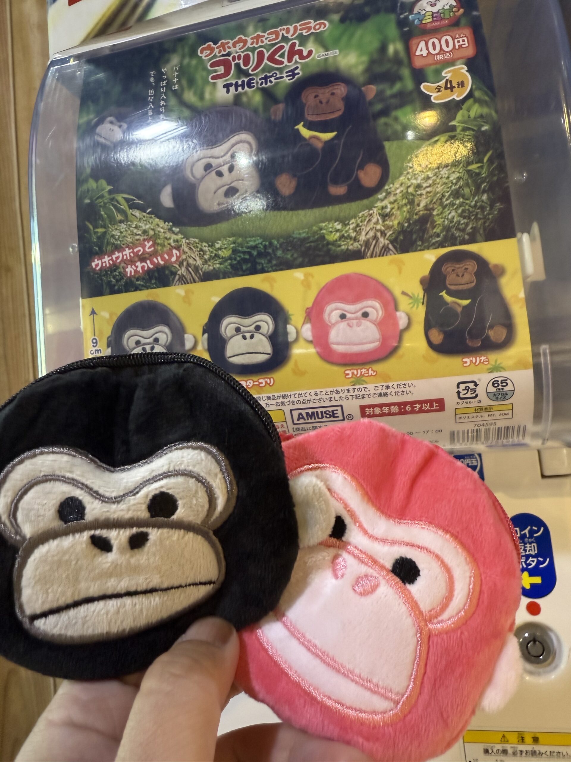 2024年道場思い出の写真4選 | センダイガールズプロレスリング公式サイト